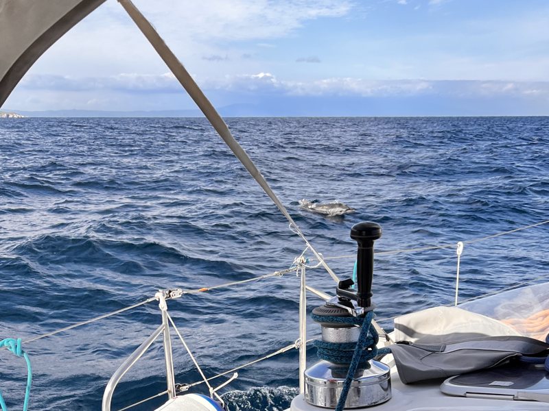 Delfin nord for Skiathos, 19. oktober 2024